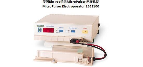 Bio-rad伯乐MicroPulser 电穿孔仪_进口电穿孔仪