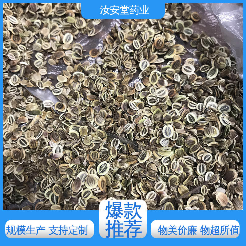 绿化护坡固土草种籽 干燥通风处储存 前胡种子厂家批发 汝安堂