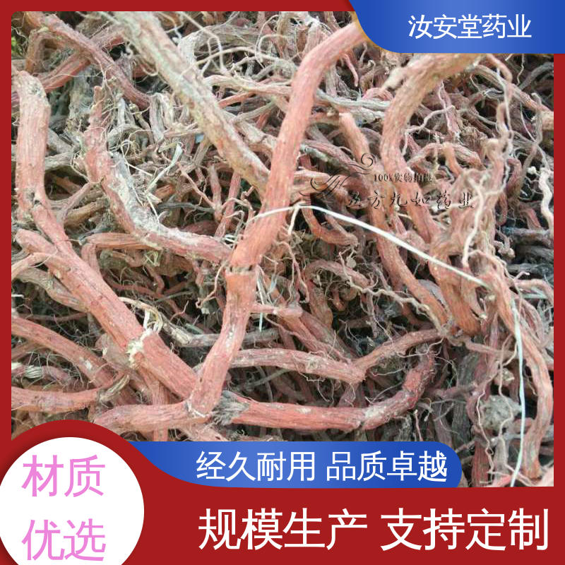 丹参苗供应 灵活合理选择栽培方式 应用场景丰富 汝安堂