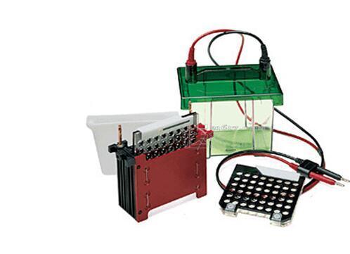 美国伯乐bio-rad小型Trans-Blot转印槽(货号:170-3930)