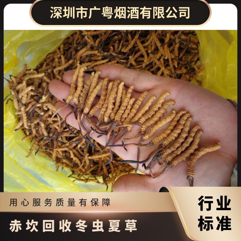 否 长期 炖肉 棕黄色 散装礼盒装 防蛀 冷藏 克 回收冬虫夏草