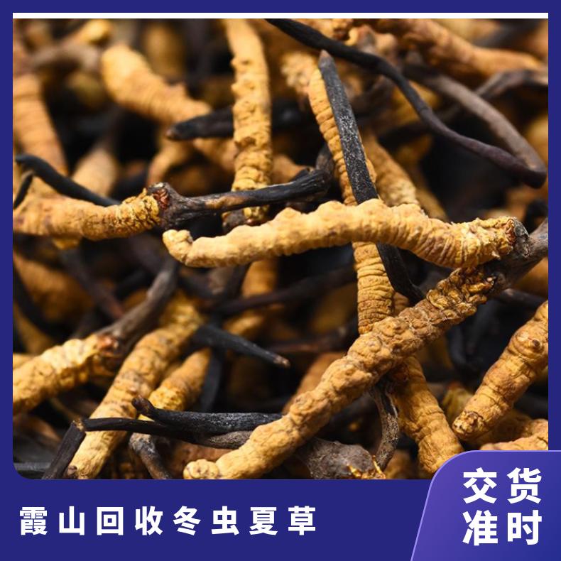 回收冬虫夏草 否 长期 防蛀 棕黄色 冷藏 克 散装礼盒装 炖肉