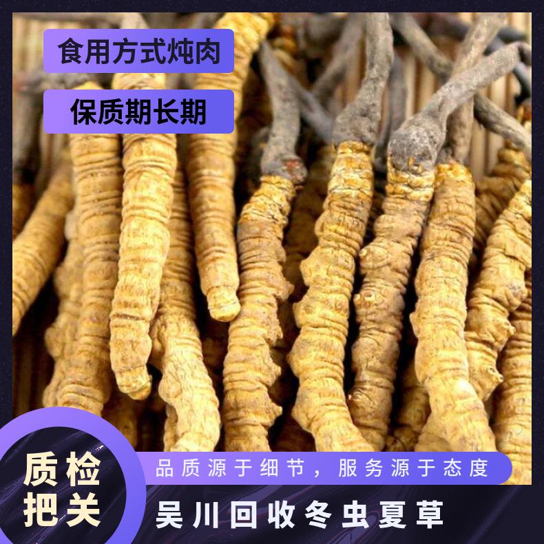 回收冬虫夏草 长期 防蛀 炖肉 冷藏 棕黄色 否 散装礼盒装 克