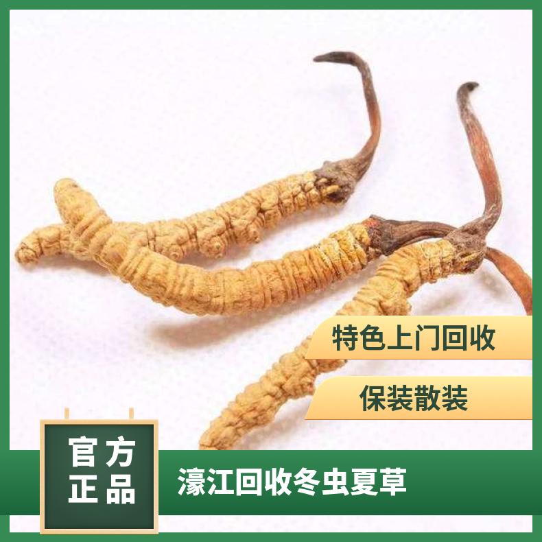 回收冬虫夏草 炖肉 长期 冷藏 二级 棕黄色 散装礼盒装 否 克 防