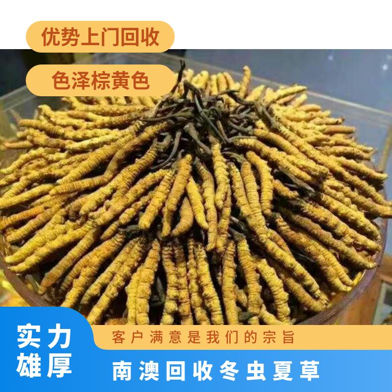 散装礼盒装 防蛀 否 克 棕黄色 长期 冷藏 炖肉 回收冬虫夏草