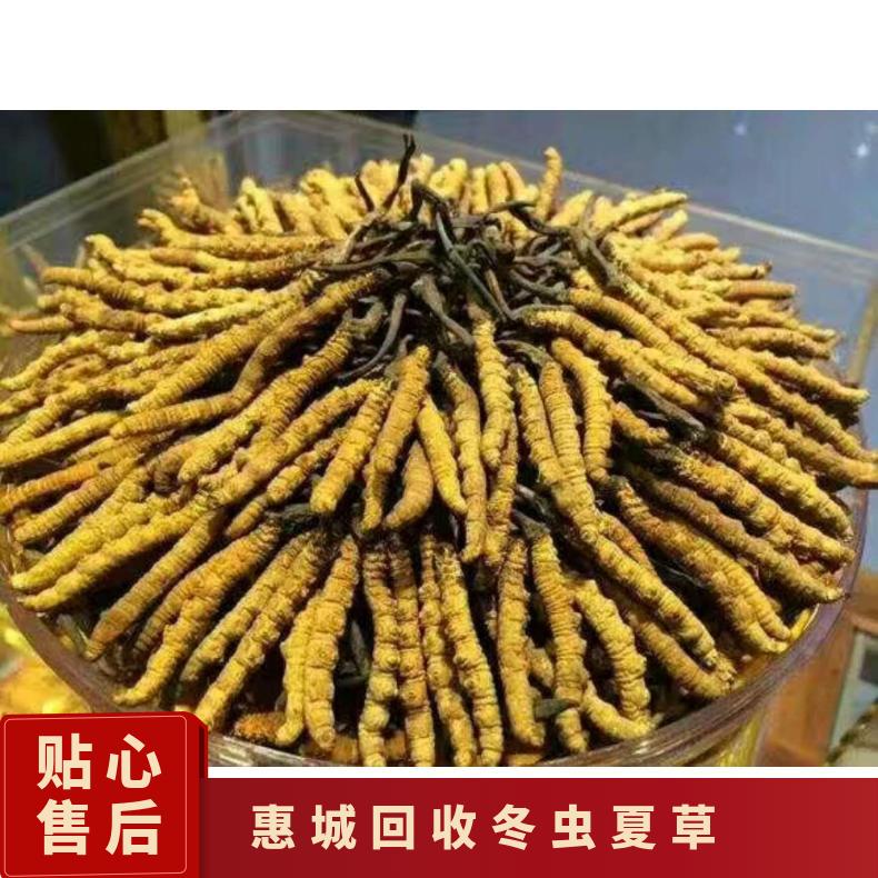 回收冬虫夏草 冷藏 否 散装礼盒装 克 长期 防蛀 炖肉 棕黄色