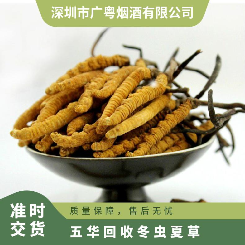 长期 炖肉 克 散装礼盒装 防蛀 否 冷藏 棕黄色 回收冬虫夏草