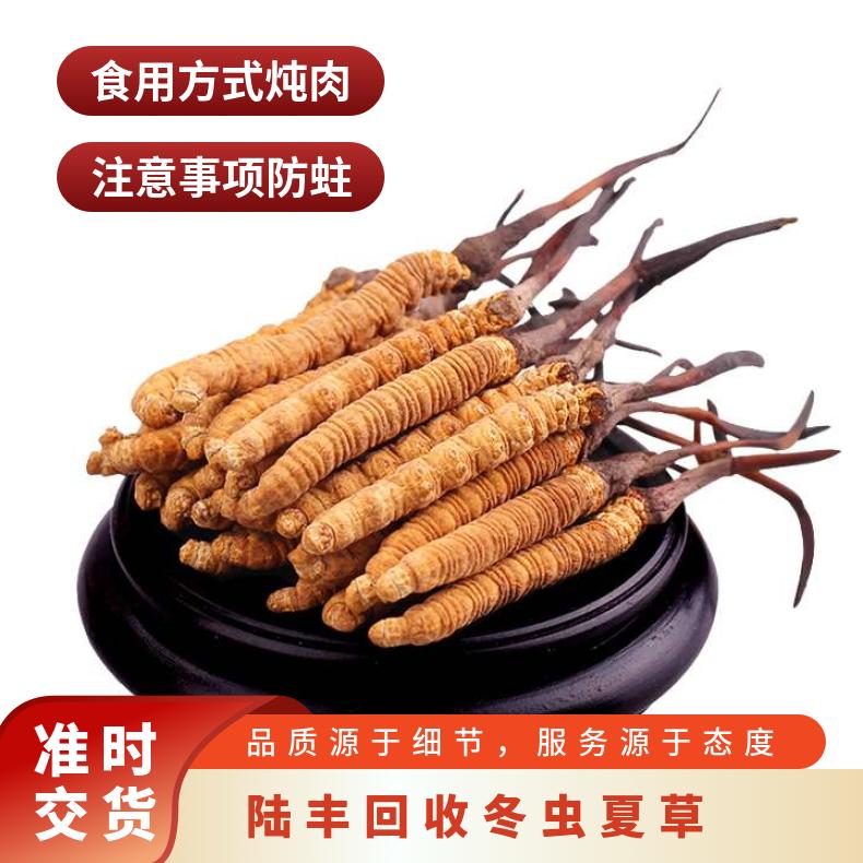 回收冬虫夏草 棕黄色 冷藏 否 一级 长期 散装礼盒装 炖肉 防蛀
