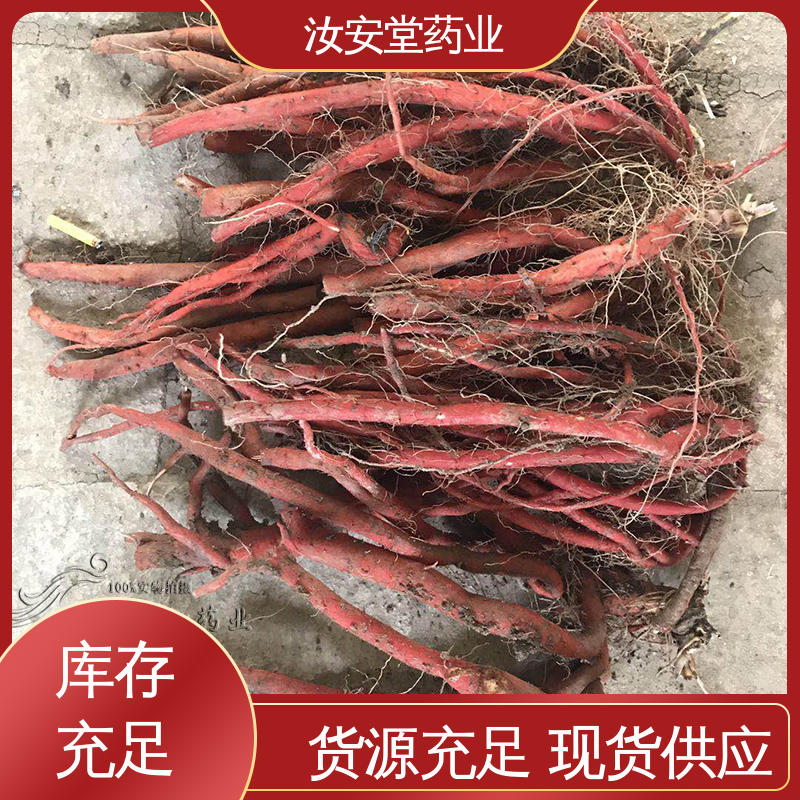 栽培技术优良 包成活率 支持快递发货 批发丹参苗 汝安堂
