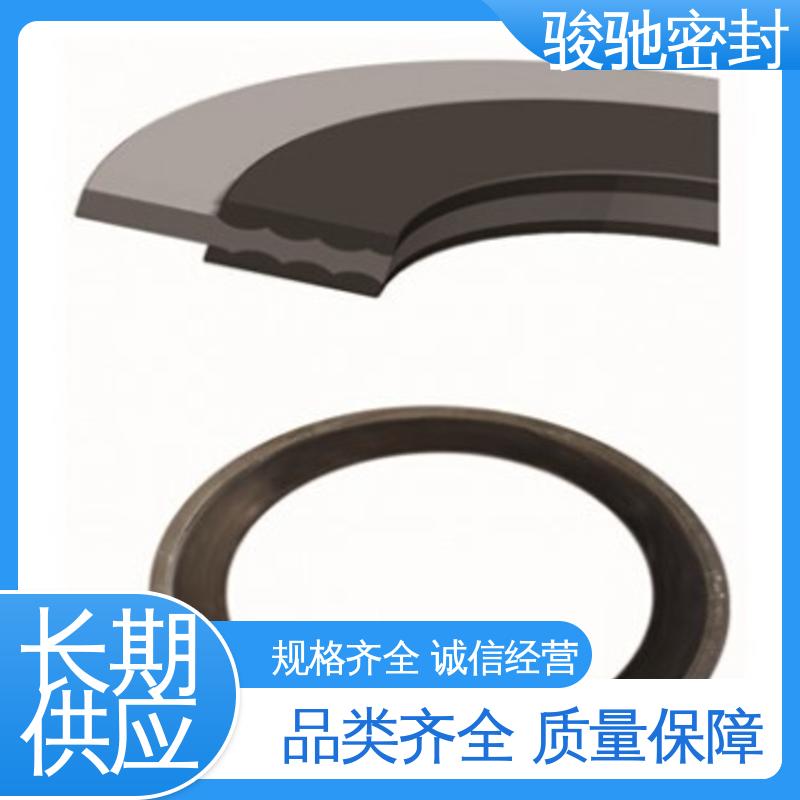 骏驰密封 高温锅炉用 耐腐蚀 机械法兰用垫片 异性加工件
