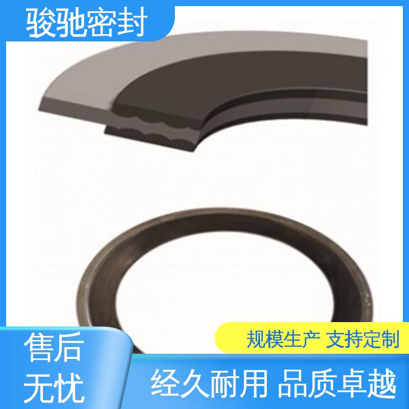 生产厂家 机械法兰用垫片 活塞环用 安装简便 骏驰密封
