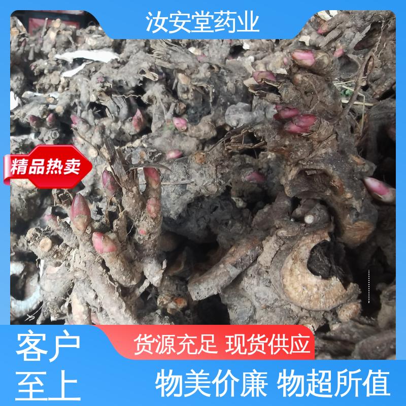 厂家供应白芍芽 应用场景丰富 适用于疏松肥沃沙质土壤 汝安堂