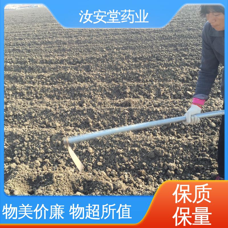 汝安堂 中药材白芍芽 灵活合理选择栽培方式 量小可发快递