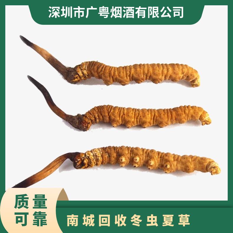 当面验货 冷藏 否 防蛀 散装礼盒装 长期 炖肉 克 回收冬虫夏草
