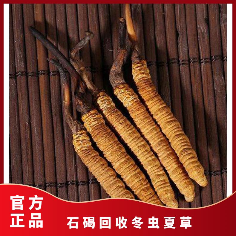 回收冬虫夏草 克 炖肉 长期 散装礼盒装 防蛀 冷藏 否 上门验货