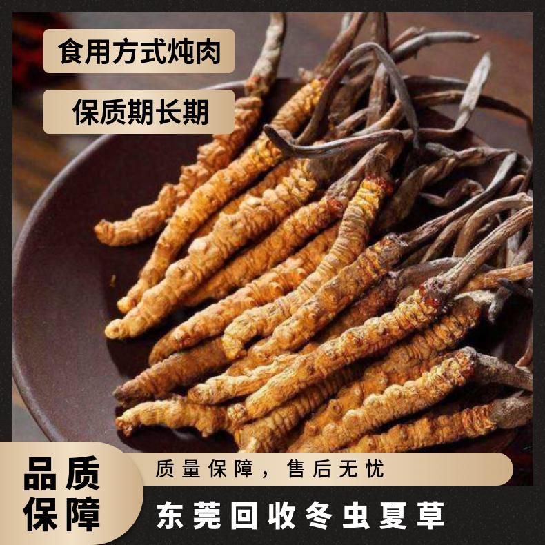 回收冬虫夏草 散装礼盒装 棕黄色 冷藏 克 防蛀 否 炖肉 一级 长