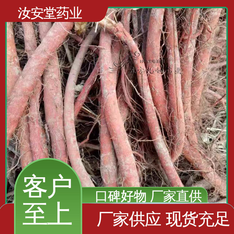 汝安堂 支持配送上门 宜晾干贮存 抗旱能力好 丹参苗批发