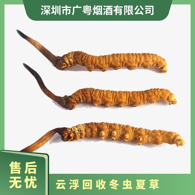 回收冬虫夏草 否 散装礼盒装 克 防蛀 炖肉 冷藏 长期 当面验货