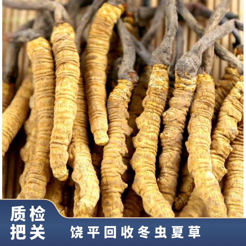 回收冬虫夏草 长期 棕黄色 散装礼盒装 炖肉 冷藏 克 否 防蛀