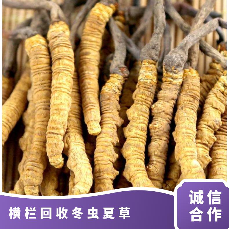 回收冬虫夏草 棕黄色 克 否 炖肉 防蛀 冷藏 散装礼盒装 长期