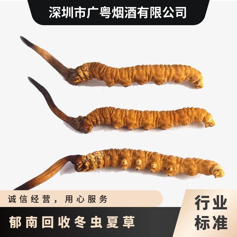 否 长期 棕黄色 冷藏 克 防蛀 散装礼盒装 炖肉 回收冬虫夏草