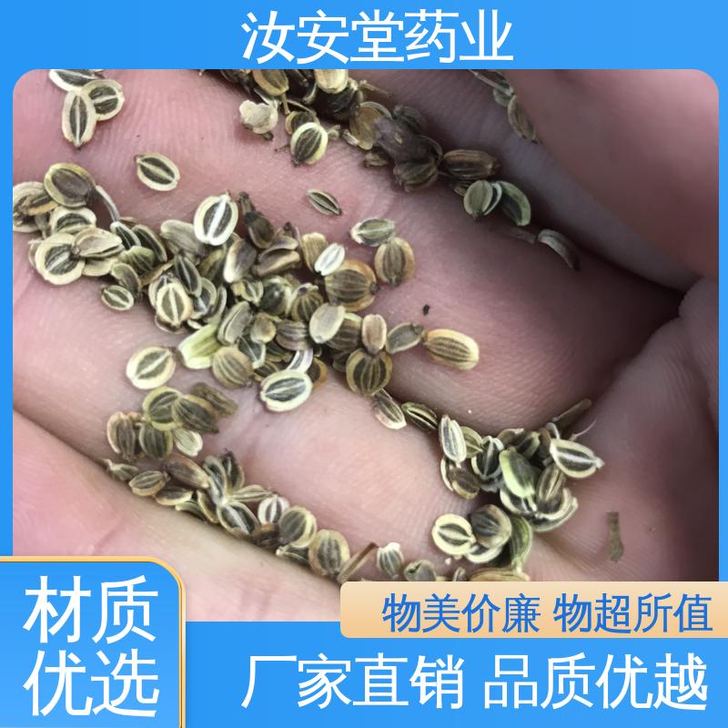 汝安堂 药用白花前胡种子 干燥通风处储存 绿化护坡固土草种籽