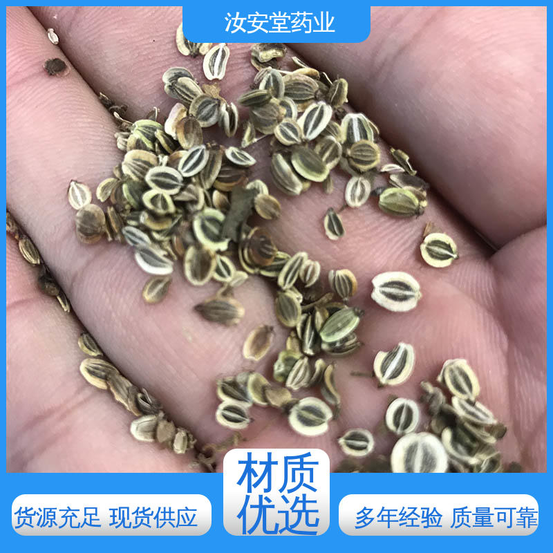 绿化护坡固土草种籽 支持配送上门 厂家供应前胡种子 汝安堂