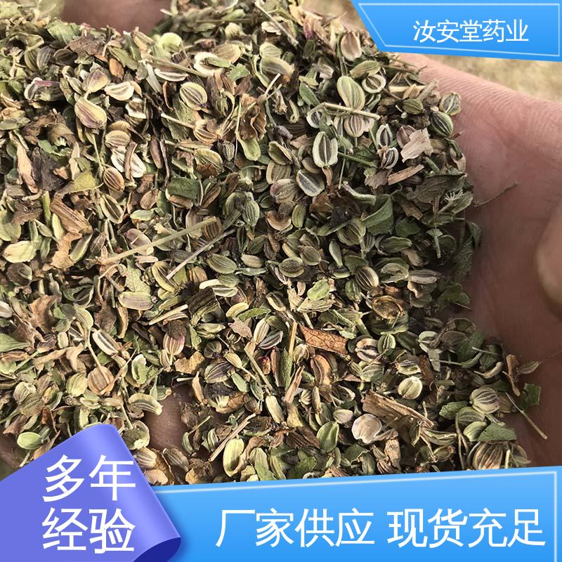 发芽率好 量小可快递 干燥通风处储存 前胡种子厂家批发 汝安堂