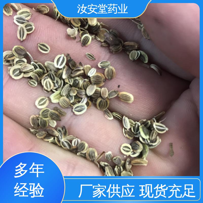 白花前胡种子量大 提供技术指导 颗粒饱满 应用场景丰富 汝安堂