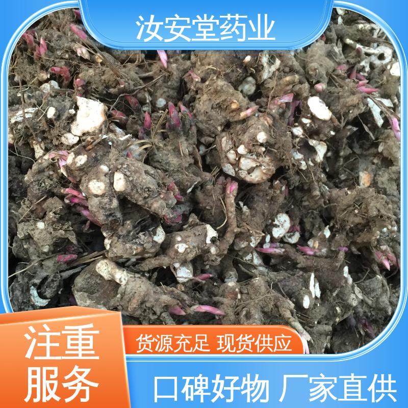 进行科学配比 品种齐全 白芍芽头供应 支持配送上门 汝安堂
