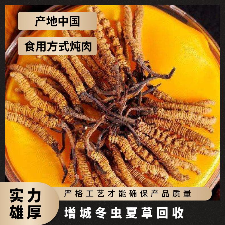 增城冬虫夏草回收一克多少钱 哪里回收冬虫夏草