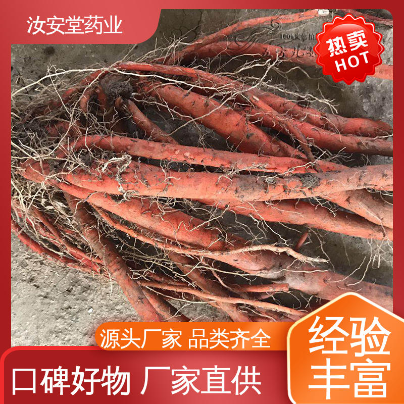 一站式服务 成活率高 提供种植技术 丹参苗批发 汝安堂