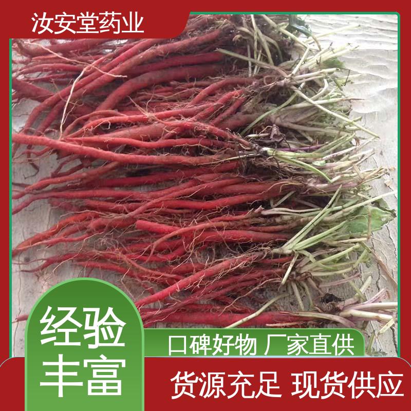  进行科学配比 品种齐全 改良丹参苗 一站式服务 汝安堂