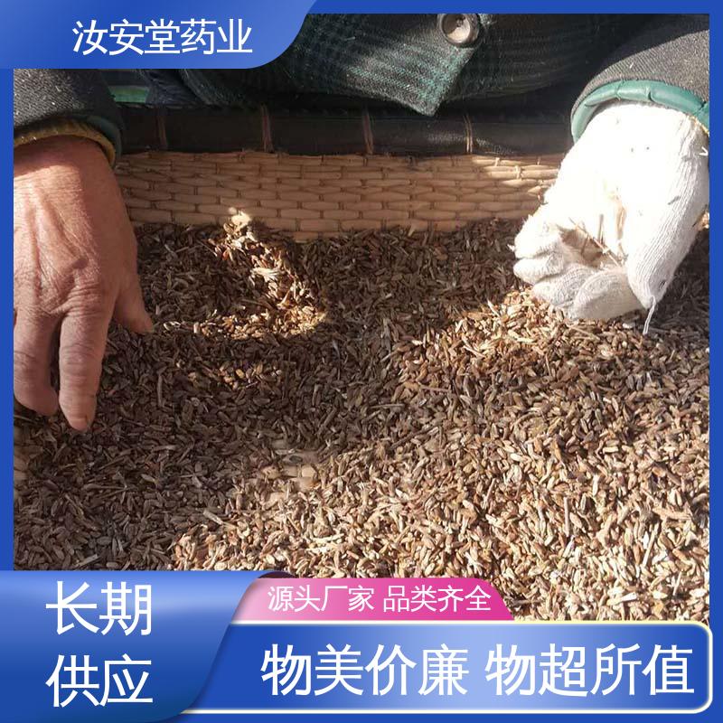 汝安堂 成活率高 提供种植技术 改良白术种子 可大面积栽种