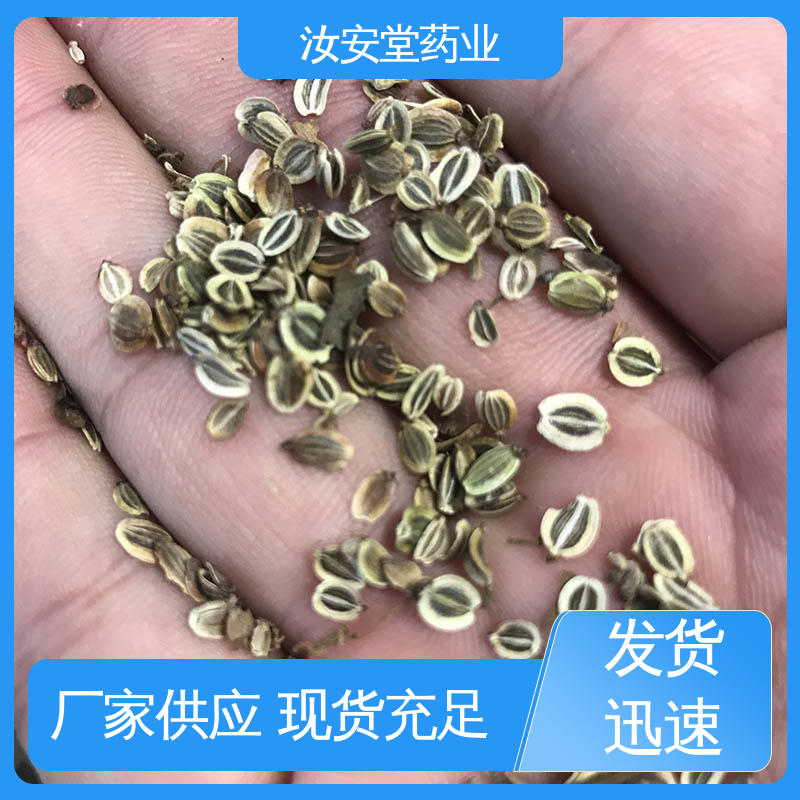 前胡种子厂家批发 可大面积栽种 颗粒饱满 应用场景丰富 汝安堂