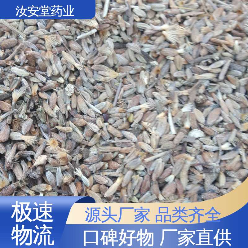 一站式服务 栽培技术优良 包成活率 白术种苗供应 汝安堂