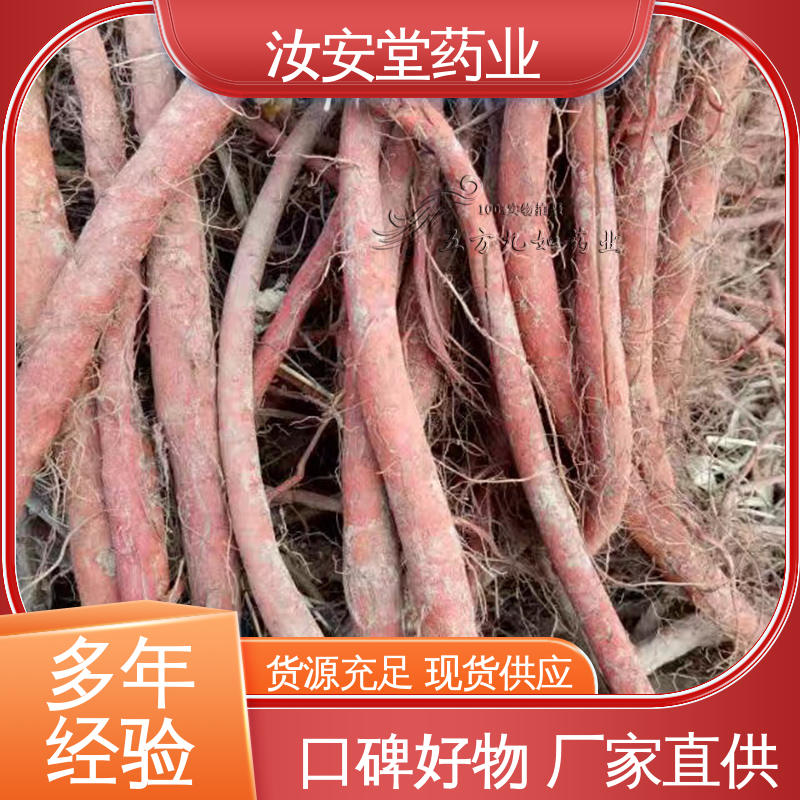 汝安堂 应用场景丰富 进行科学配比 品种齐全 丹参苗产地