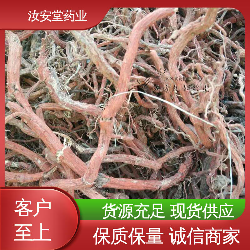 汝安堂 品种多样 进行科学种植 支持快递发货 药用丹参苗