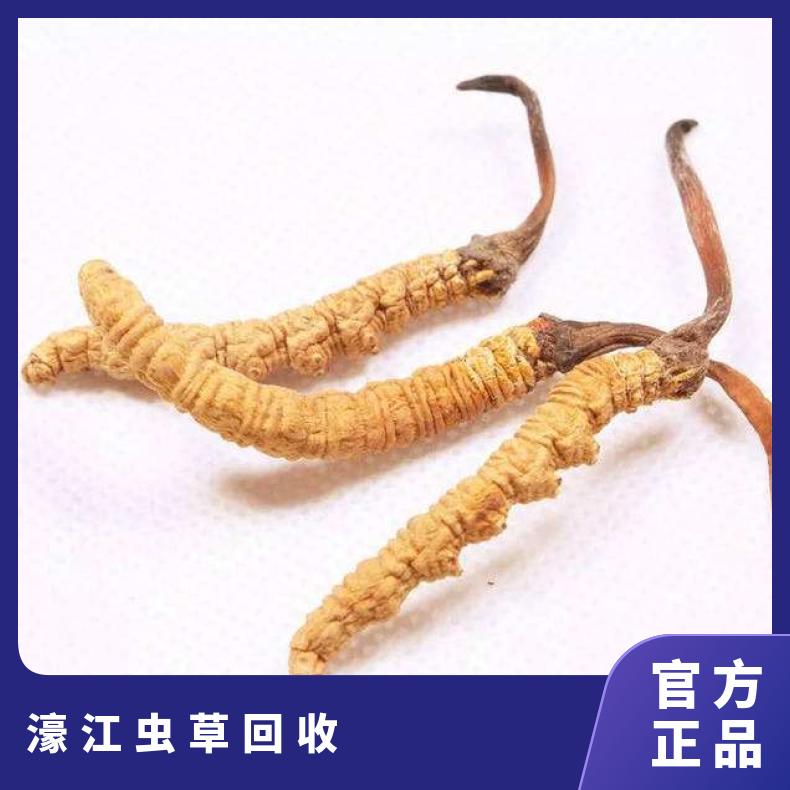 濠江虫草回收上门商行 常年高价回收冬虫夏草 燕窝 茅台酒 洋酒 红酒