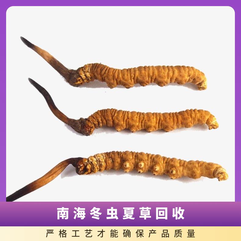 南海冬虫夏草回收价格 礼盒装虫草回收行情 上门收购茅台酒 洋酒 红酒