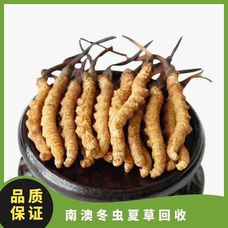 南澳冬虫夏草回收一克多少钱 高价上门回收燕窝 茅台酒 洋酒 红酒海参