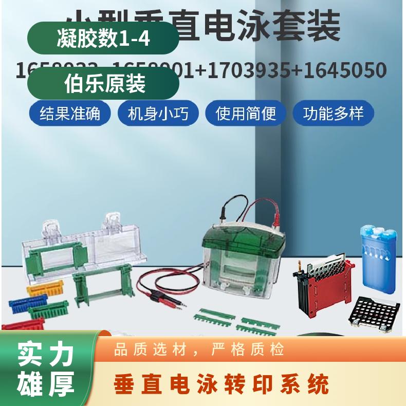 Bio-Rad 1658033垂直电泳转印系统 伯乐原装 凝胶数1-4 电压220V