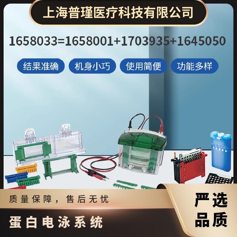 伯乐Bio-Rad电泳组合套装1658033 美国 短板 10.1x7.3 凝胶数1-4