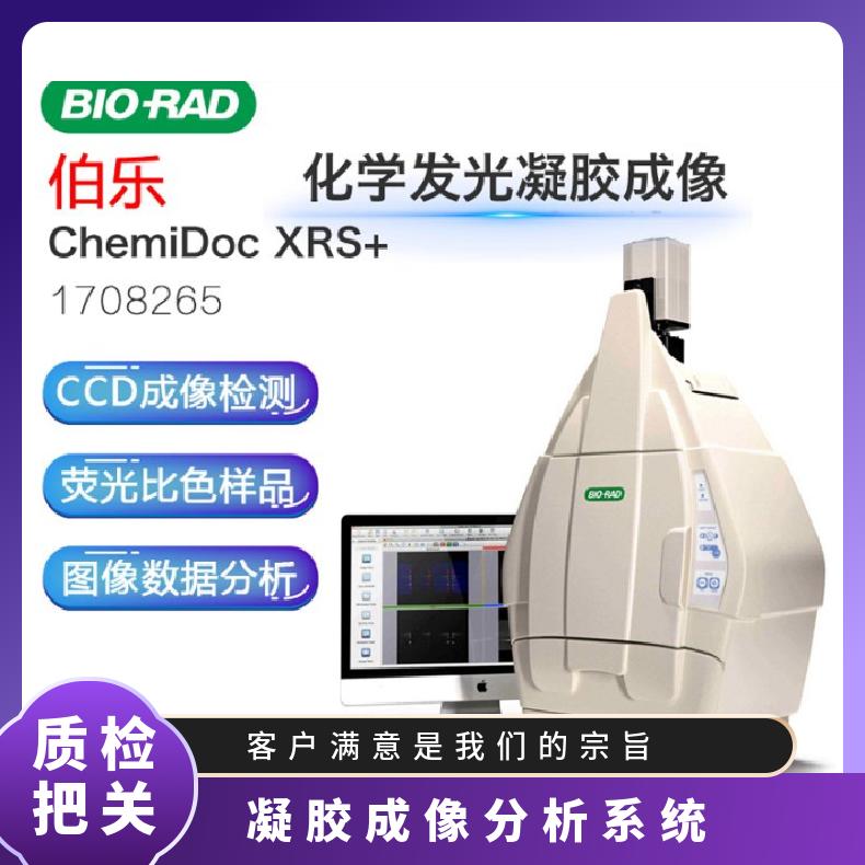 伯乐Gel DocXR+凝胶成像分析系统 型号Gel DocXR+ 36 x 60 96 厘米 一年