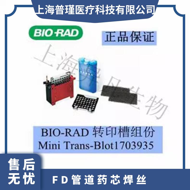 伯乐1703935Mini Trans-Blot转印芯模块 1703935