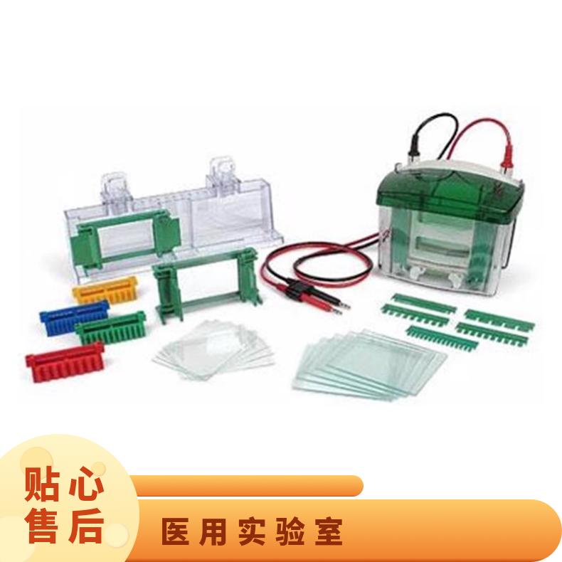 Bio-Rad 1703930蛋白转印电泳槽 参数配置