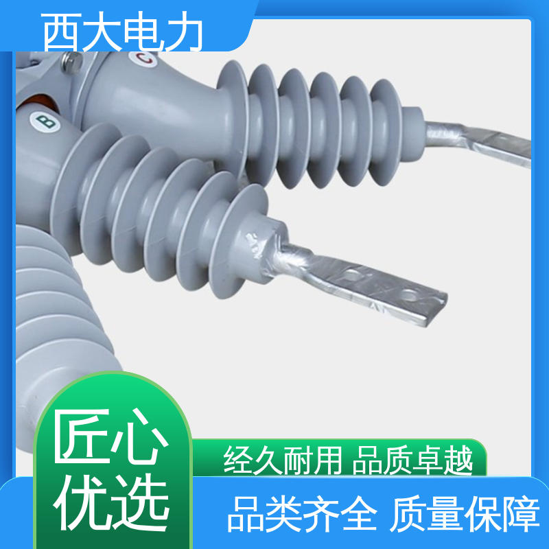  ZW20-12F 型号和资质齐全 高压真空断路器 西大电力