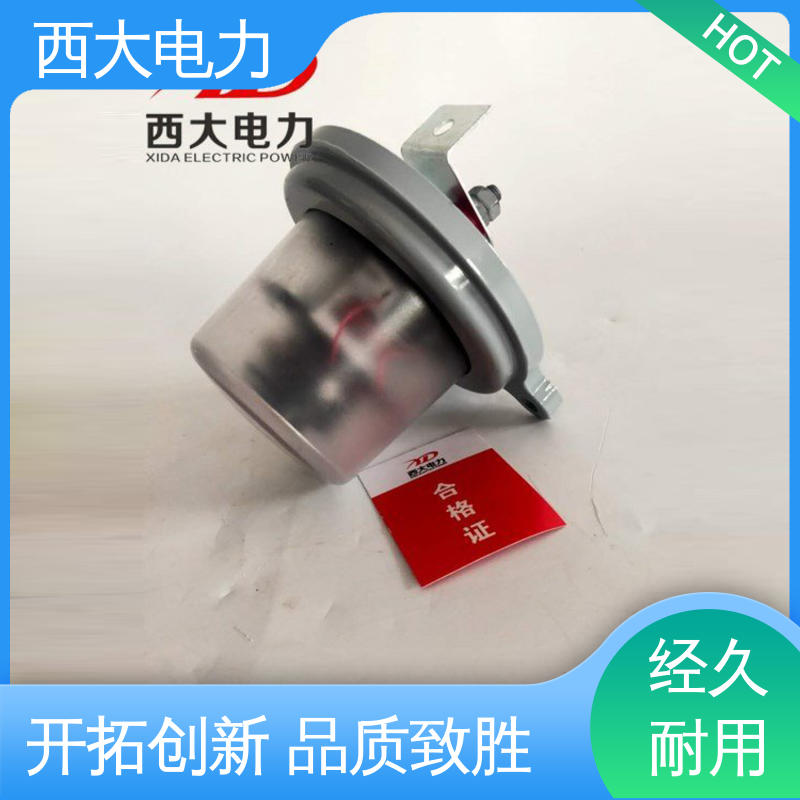 避雷器放电计数器 安装方便 操作简单 JCQ-10/800型 西大电力