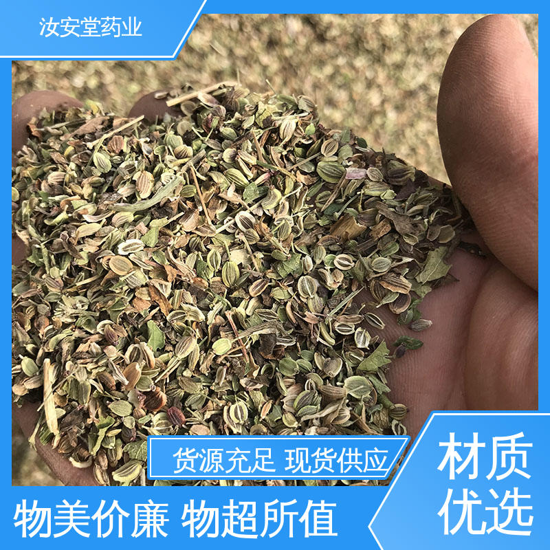 发芽率好 量小可快递 供应白花前胡种子 提供技术指导 汝安堂