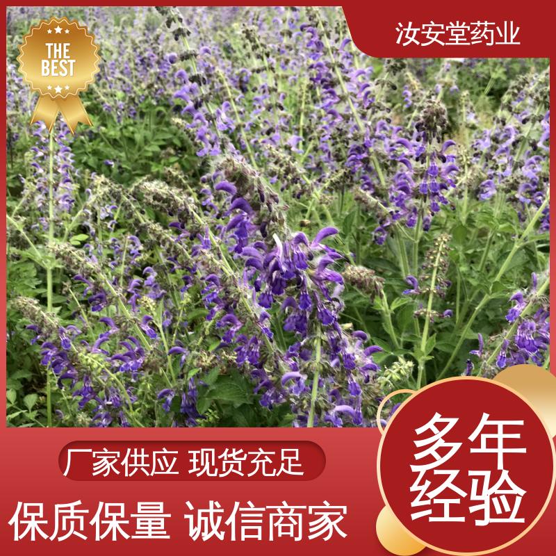 汝安堂 进行科学配比 品种齐全 支持配送上门 中药材丹参苗